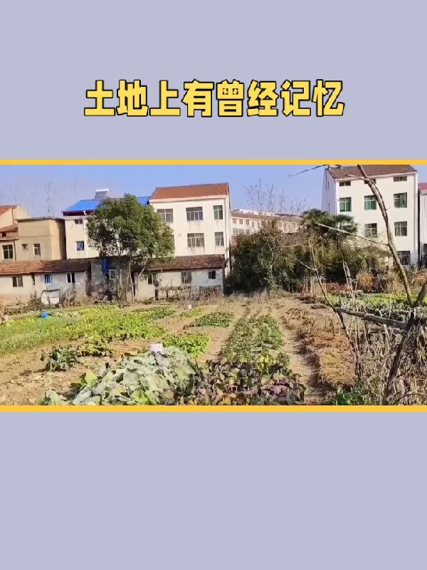土地上有什么? 土地上有什么?