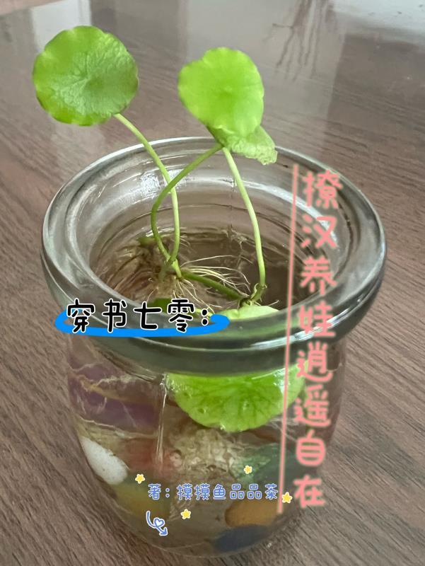 穿书七零养儿子 穿书七零养儿子