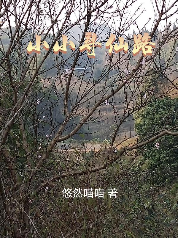 小小寻仙路有CP吗 小小寻仙路有CP吗