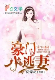 豪门小逃妻蓝灵儿 豪门小逃妻蓝灵儿