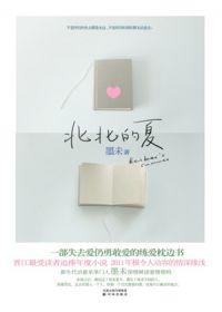 北北的夏讲的是什么 北北的夏讲的是什么