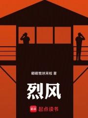 烈风圣翼精灵 烈风圣翼精灵
