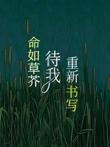 命如草芥下一句 命如草芥下一句