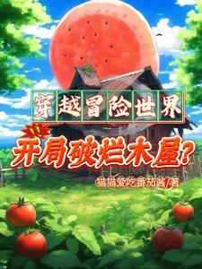 木屋升级 木屋升级