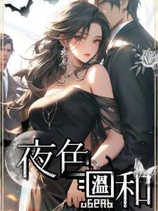 夜色温柔简介 夜色温柔简介