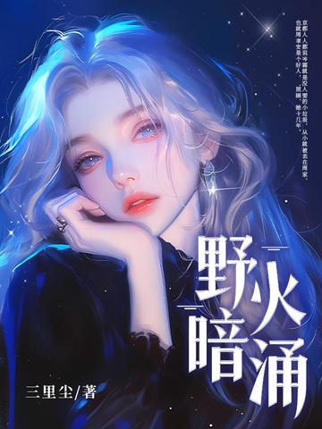 野火hud 野火hud