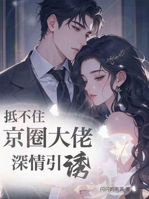 京婚似锦TXT 京婚似锦TXT