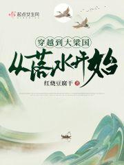 穿越到大梁国从落水开始目录 穿越到大梁国从落水开始目录