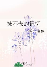 抹不去的回忆作文500字左右 抹不去的回忆作文500字左右