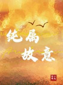 纯属故意免费阅读 纯属故意免费阅读