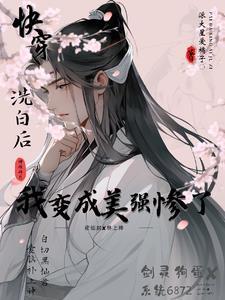 快穿之洗白攻略 快穿之洗白攻略