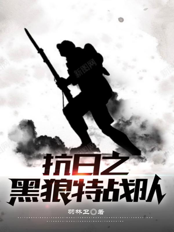 抗日之特战队传奇 抗日之特战队传奇