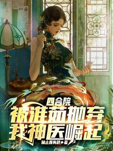 四合院坐拥亿万 四合院坐拥亿万