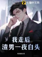 我走后渣男一夜白头书评 我走后渣男一夜白头书评