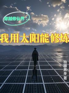 穿越修仙界我用太阳能修炼TXT(独鳝其身) 穿越修仙界我用太阳能修炼TXT(独鳝其身)