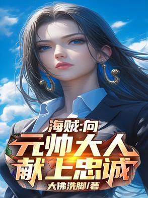海贼海军大元帅 海贼海军大元帅