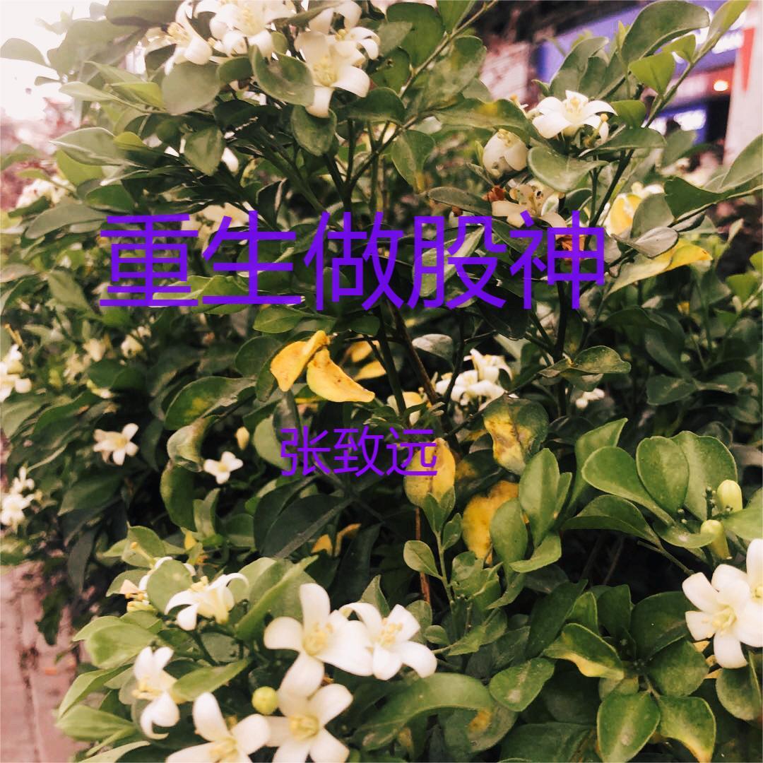 金融巨头重生 金融巨头重生