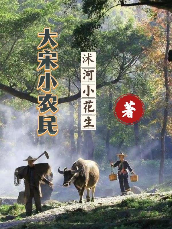 大宋小农民全文 大宋小农民全文