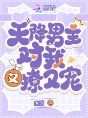 天降男神追妻有助攻 天降男神追妻有助攻