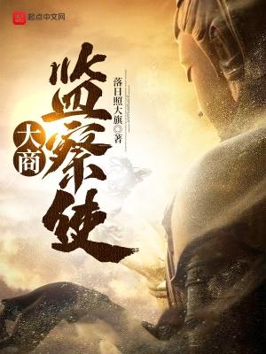大商监察使 大商监察使