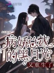 奋斗在嘉靖年间 青叶7